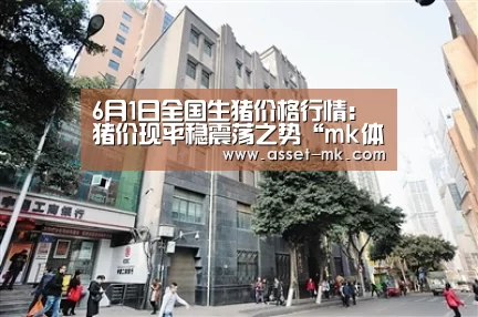 mk体育备用