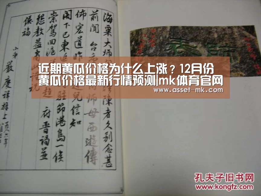 近期黄瓜价格为什么上涨?12月份黄瓜价格最新行情预测|mk体育官网(图3) mk体育在线