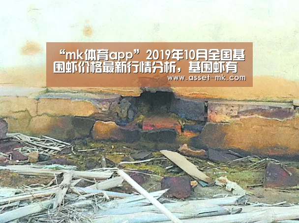mk体育官网