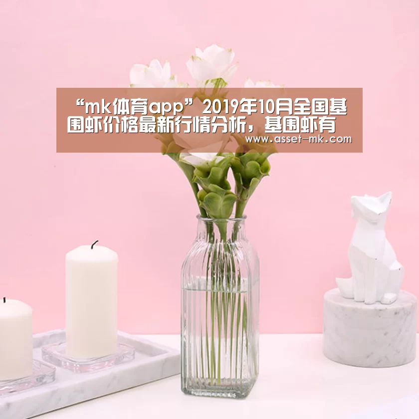 mk体育官网