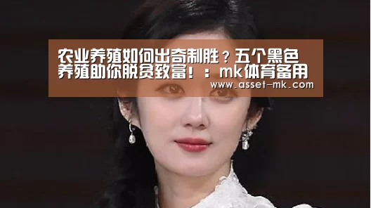 mk体育备用