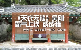 《天衣无缝》吴刚霸气上线 或成猎谍行动“控场王”‘mk体育app’(图1) mk体育app
