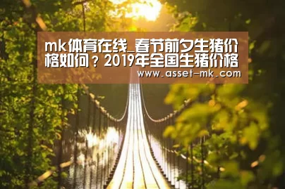 mk体育在线_春节前夕生猪价格如何?2019年全国生猪价格行情预测(图2) mk体育app